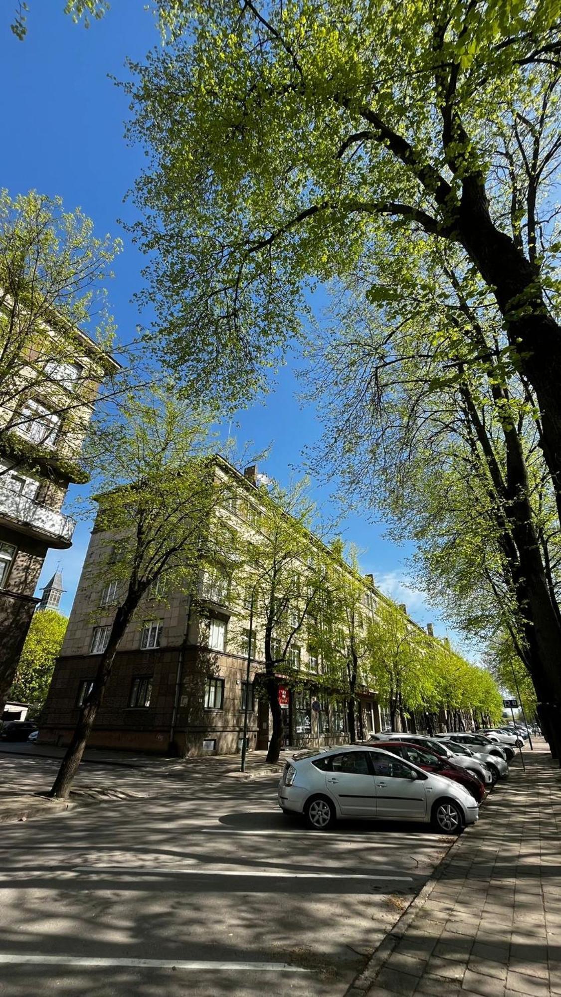 Heritage House Dane Apartment Клайпеда Екстер'єр фото